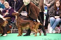 Crufts2011 262
